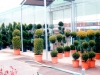 vivero-15