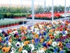 vivero-29
