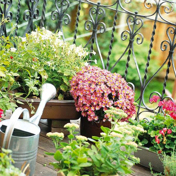 otoño jardin cuidado